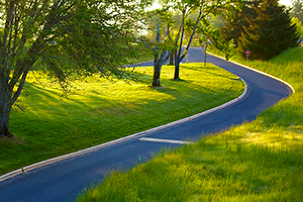 Paved walking path through grass and trees.