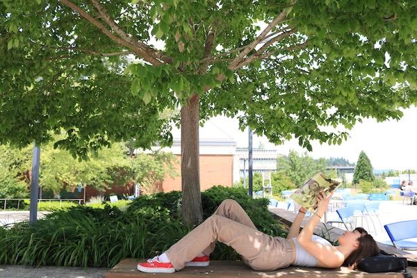 a young woman reads an Art History textbook under a tree by the center building on a beautiful day