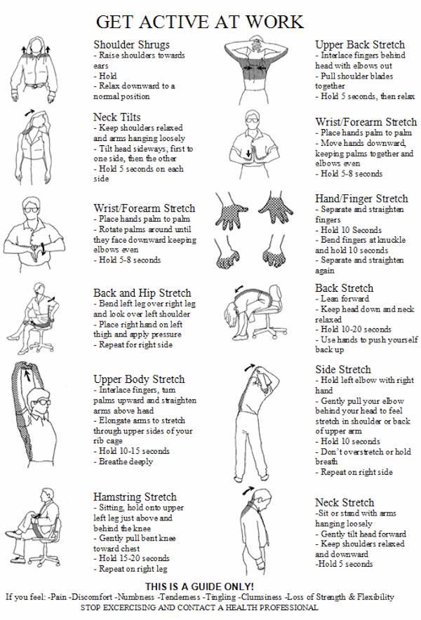 Consider shoulder shrugs, neck tilts, wrist/forearm stretches, back and hip stretches, upper body stretch, hamstring stretch, upper back stretch, wrist and forearm stretches, finger stretches, back stretches, side stretches, neck stretches, and hamstring stretches. Contact us for proper instruction!