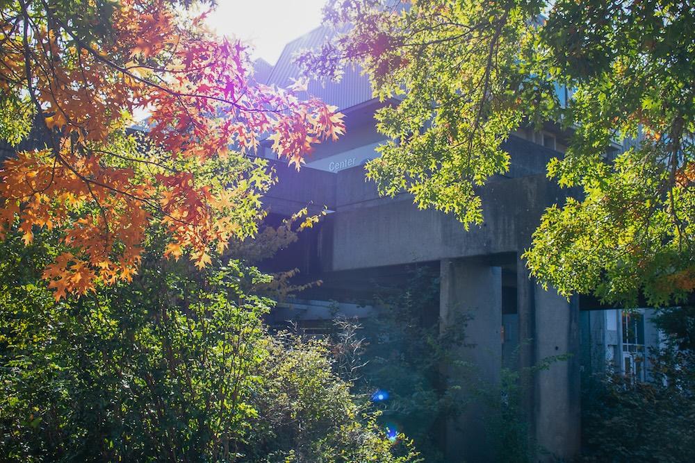 a bright autumn sun shines through orange and green leaves by the Center Building on campus