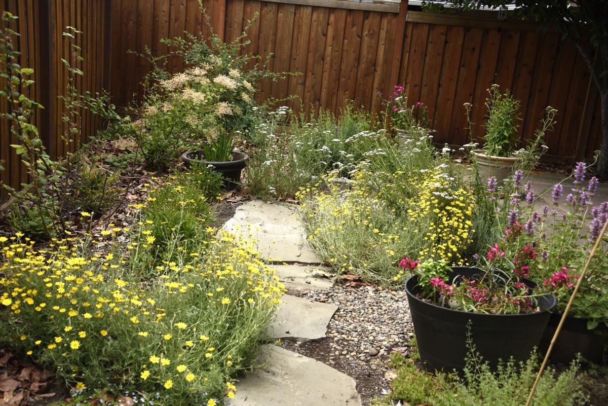 Habitat Haven garden