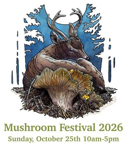 a poster for the mt. pisgah mushroom festival featuring a deer and a mushroom