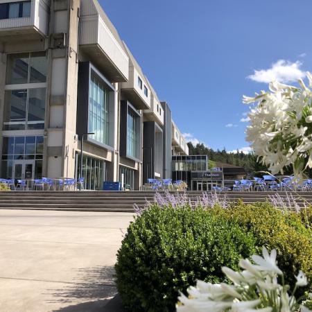 the center building on a beautiful sunny spring day with white and purple flowers in the foreground