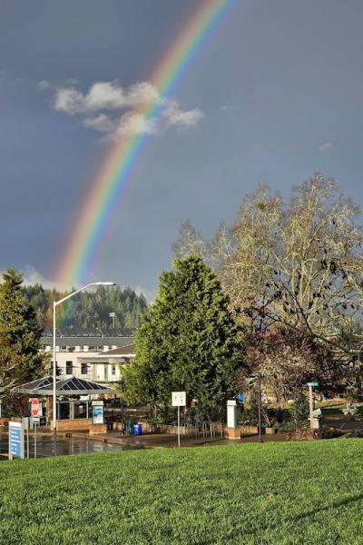 a brillant rainbow against dark clouds over campus as seen from the bus stop 